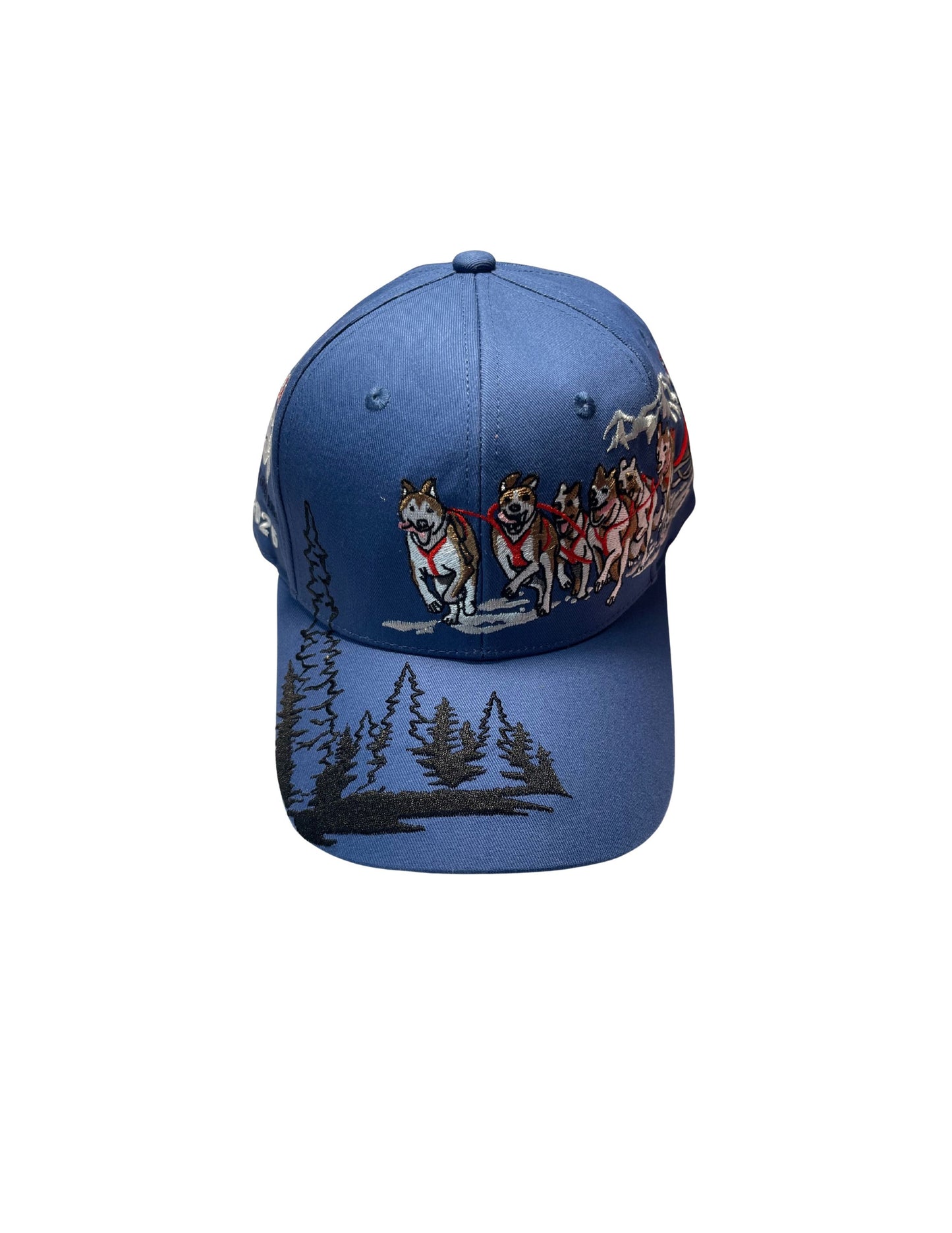 2026 Limited Edition Hat