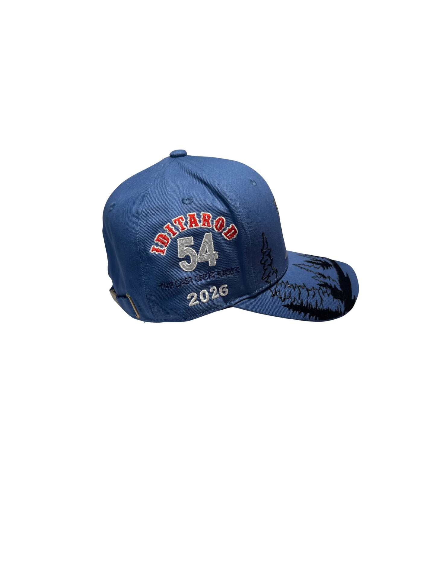 2026 Limited Edition Hat