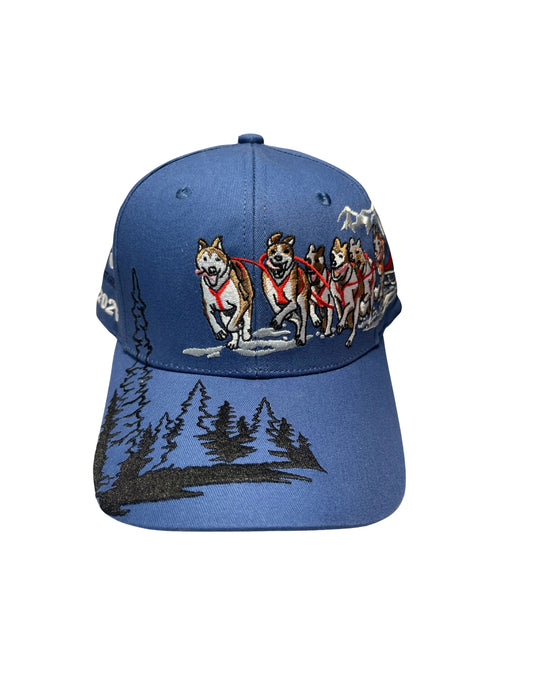 2026 Limited Edition Hat