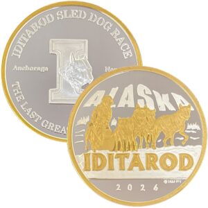 2026 Coin Single Sided Gold Relief