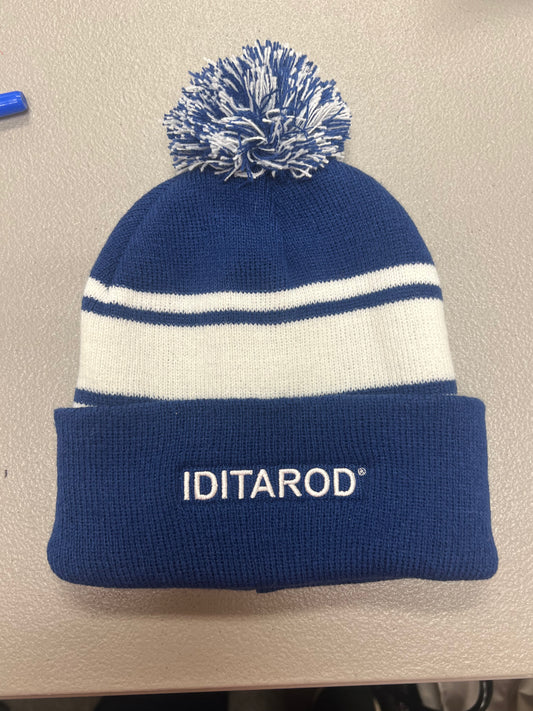 Blue & White Striped Knit Hat