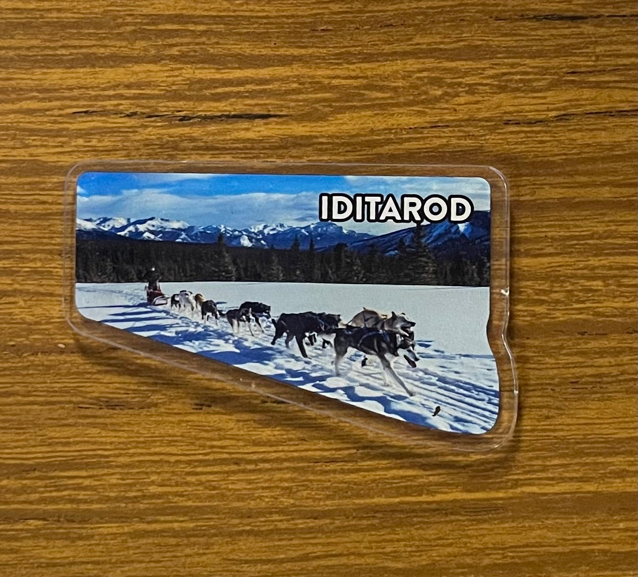 Dogteam Acrylic Magnet