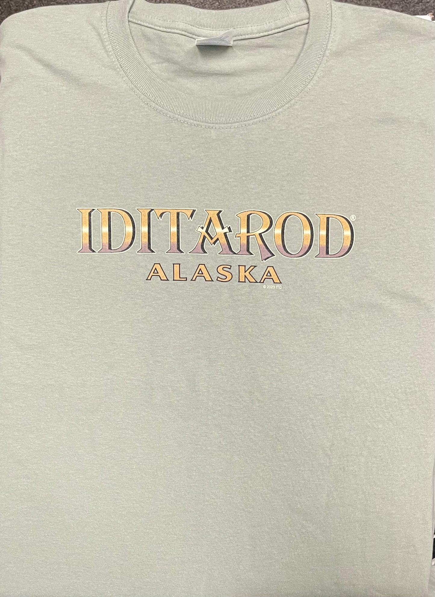 Iditarod Text T Shirt Stonewash Green