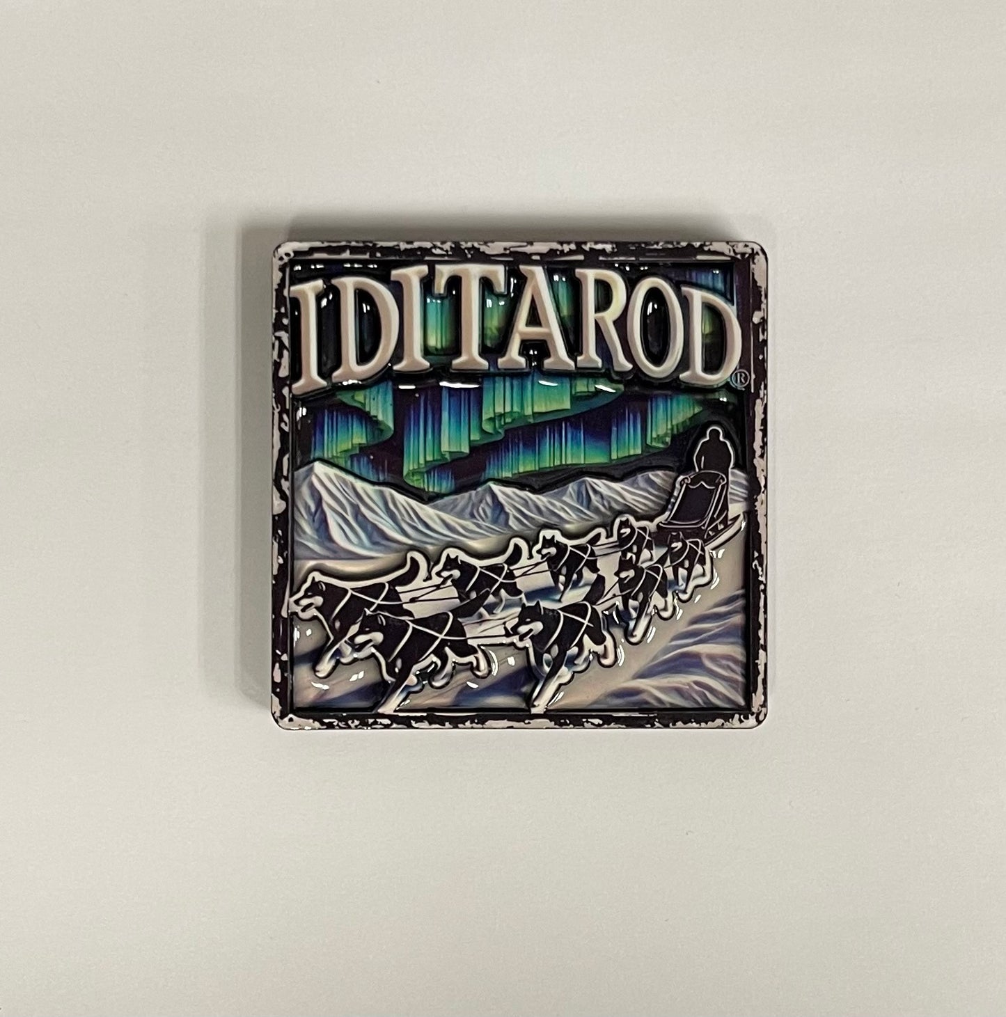 Team w/N Lights Magnet