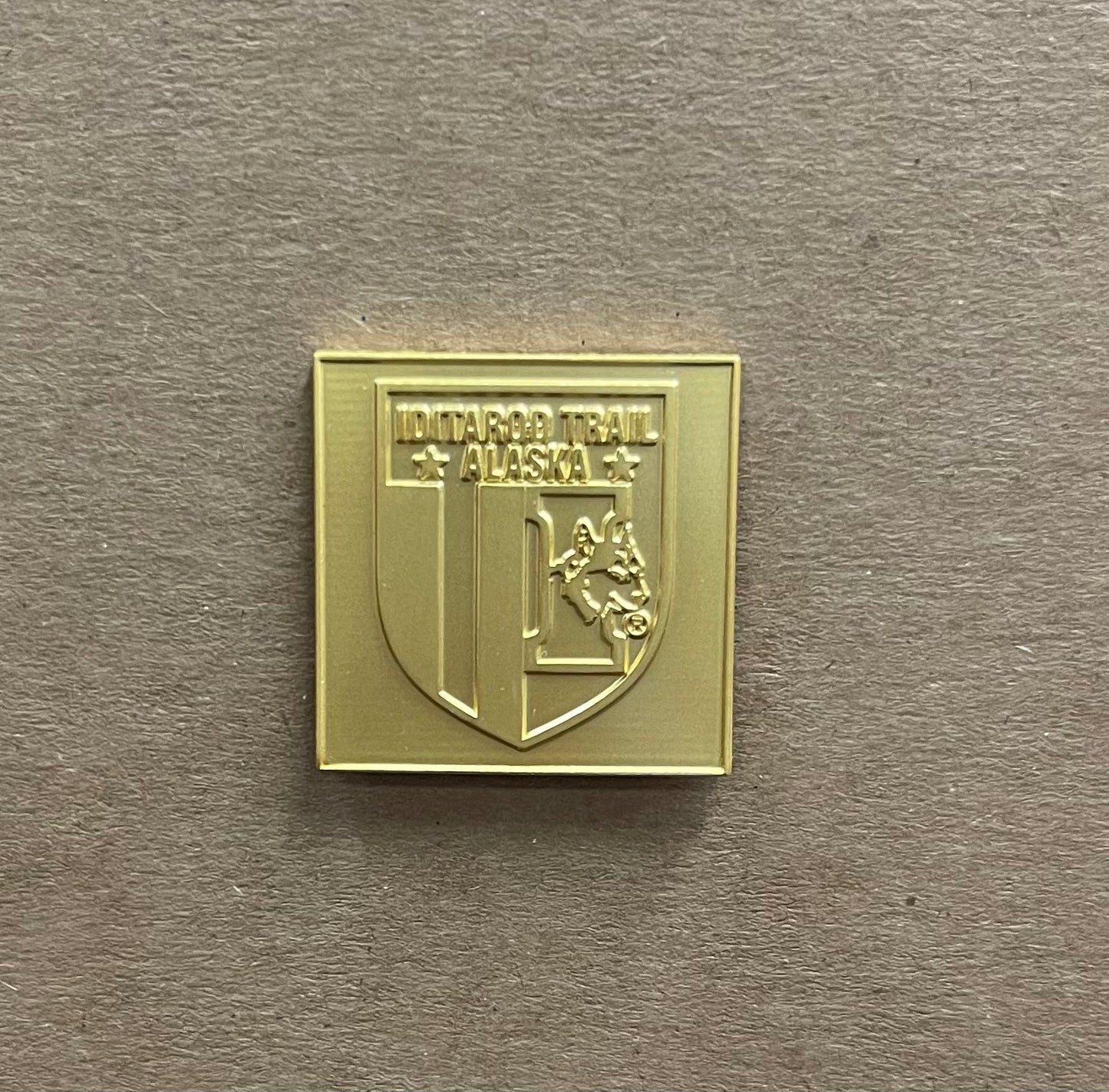 Gold Shield Pin