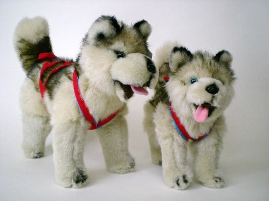 Plush Small Standing Husky with Harness